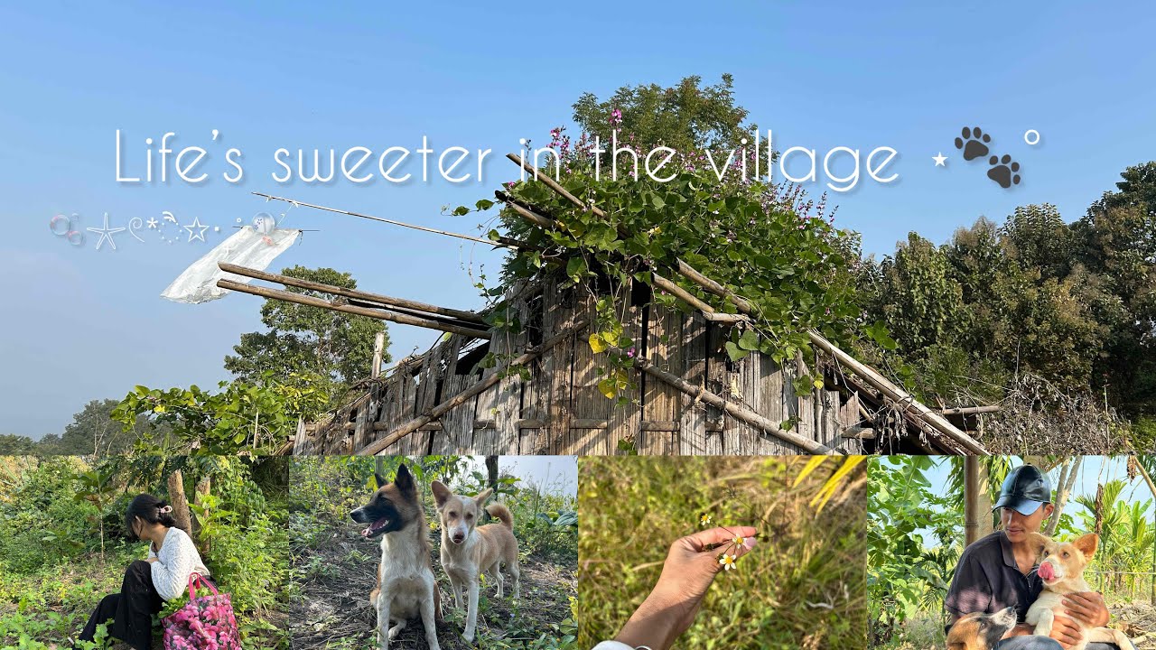 Life’s sweeter in the village 🌾🍃🐾