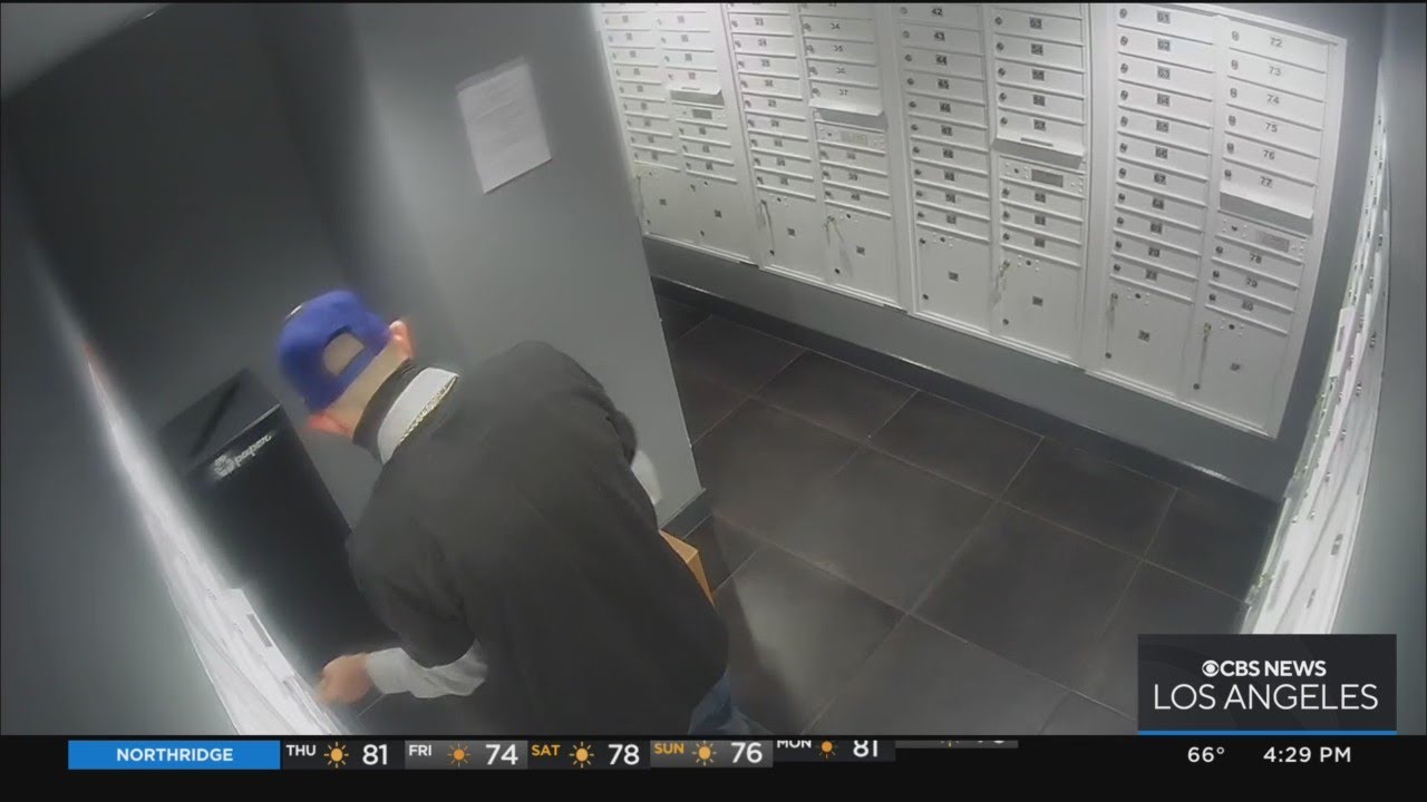 Thieves Nearly Drain Couples' Life Savings After Stealing Their Mail