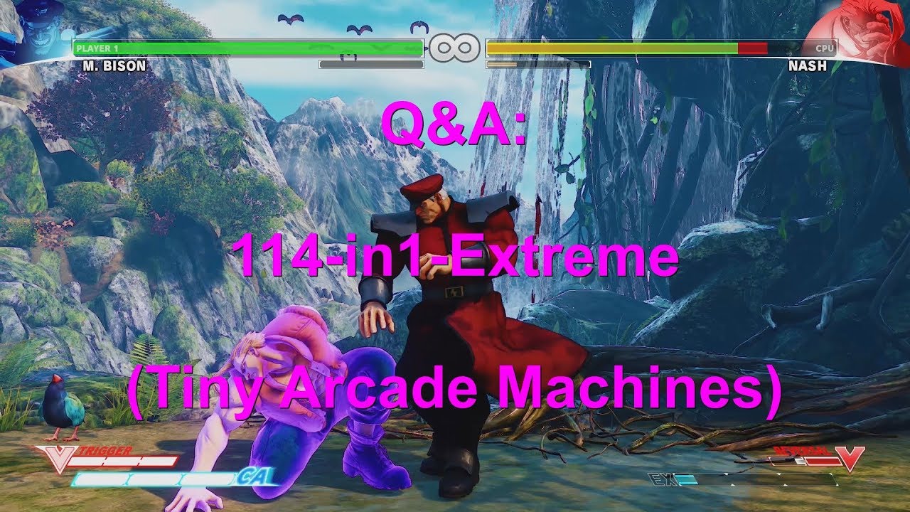 Q&A: 114-in-1 Extreme Arcade Machine (English)
