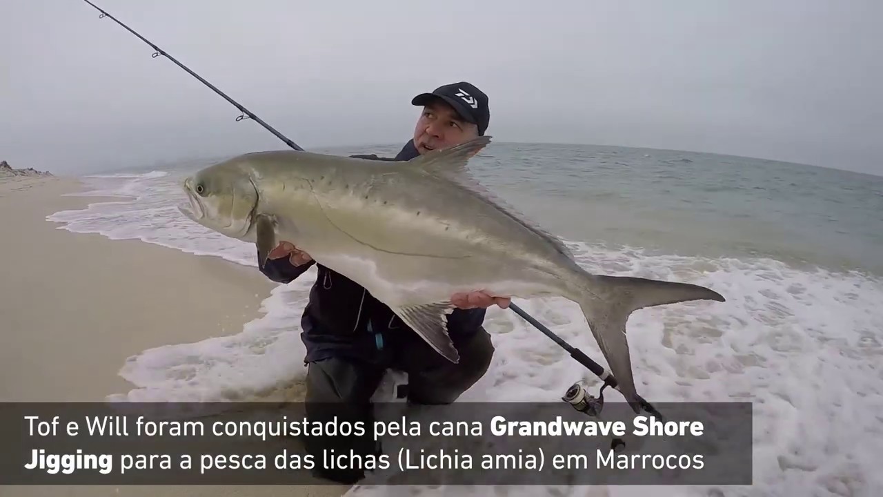 Daiwa | Canas GRANDWAVE SHORE JIG