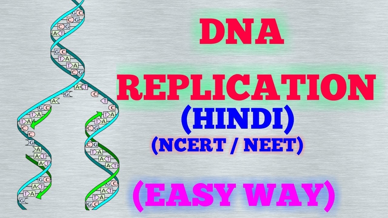 DNA REPLICATION (HINDI) EASY WAY / NCERT