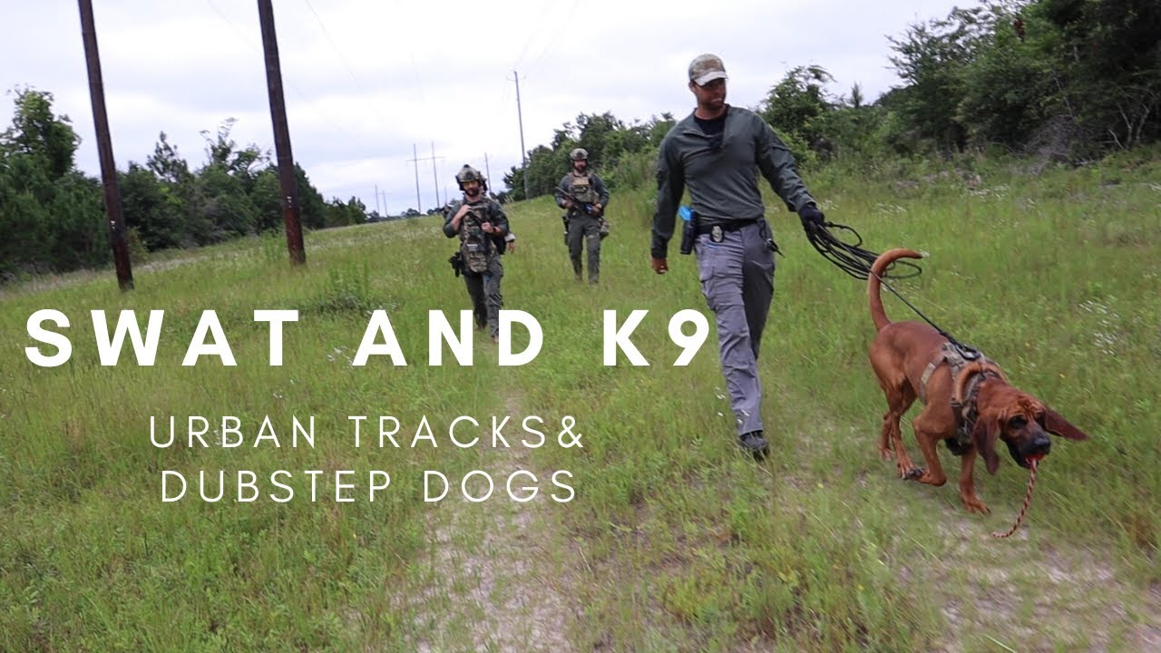 SWAT and K9, Urban Tracking & Dubstep Dogs