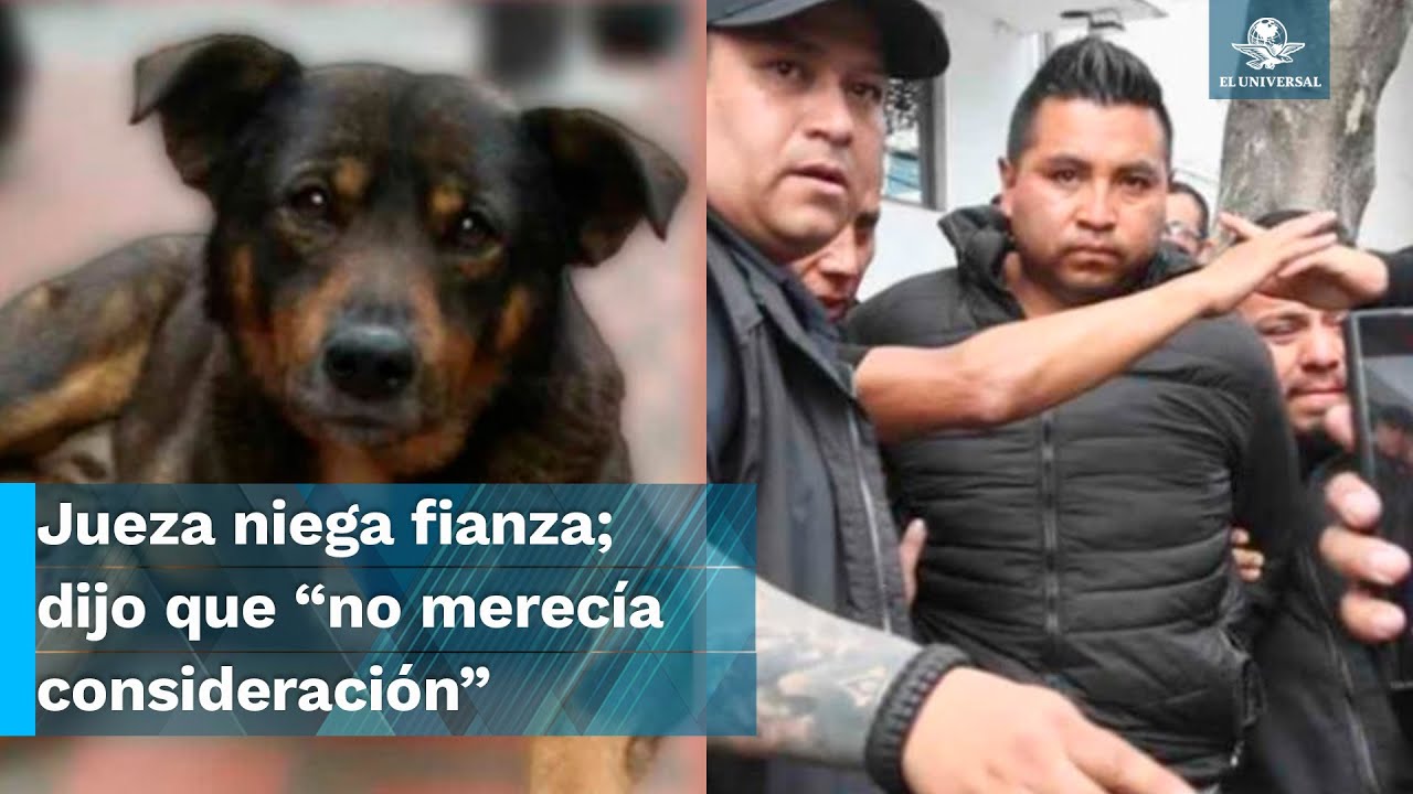 Sergio “N”, quien lanzó a Scooby en aceite hirviendo, lloró y dijo estar arrepentido