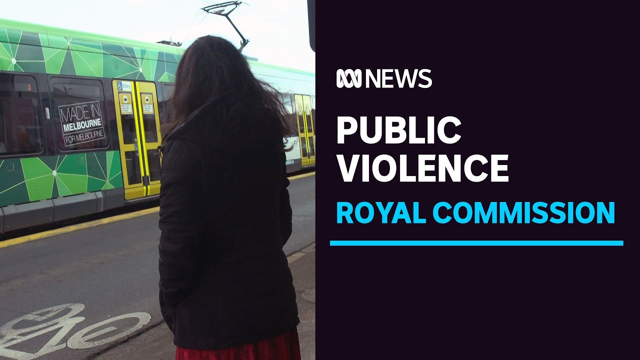 Stories of violence and abuse in public places told to Royal Commission | ABC News
