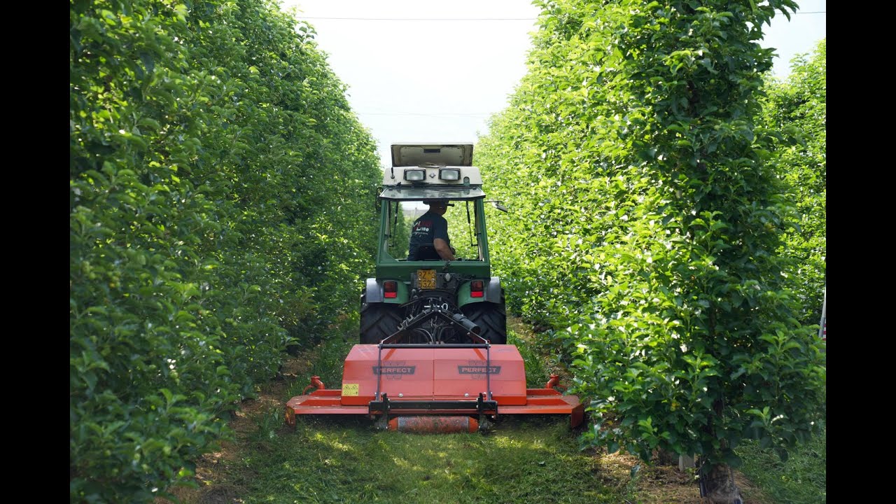 Van Wamel Perfect VT-225 verstellbarer Kreiselmulcher