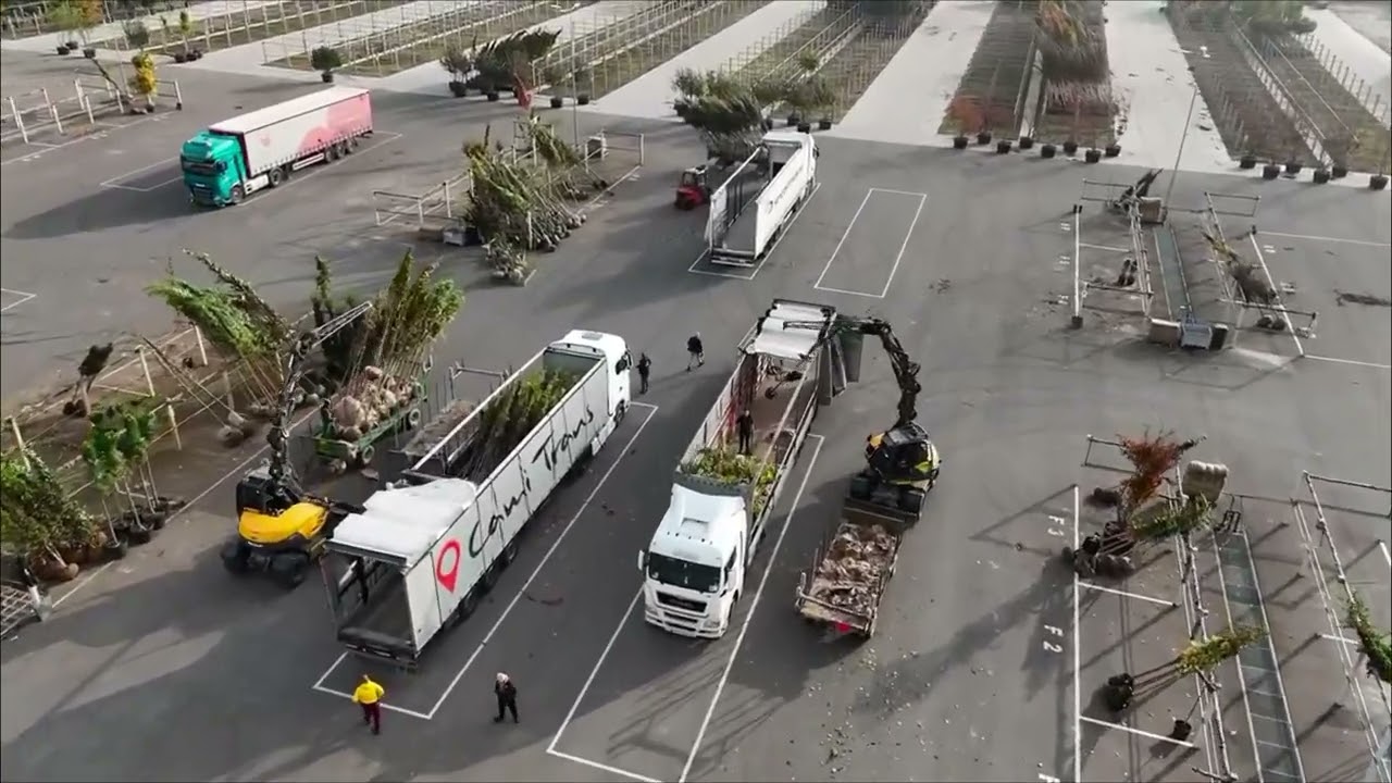 Loading trees for delivery