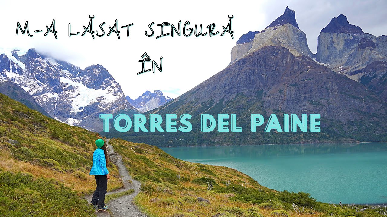 Întâlnire cu un animal SĂLBATIC în munții Patagoniei | Torres del Paine | CHILE
