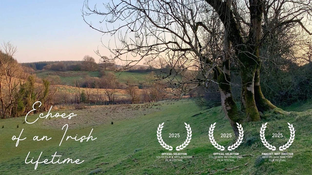 Frances Maguire — Echoes of an Irish Lifetime (2025)