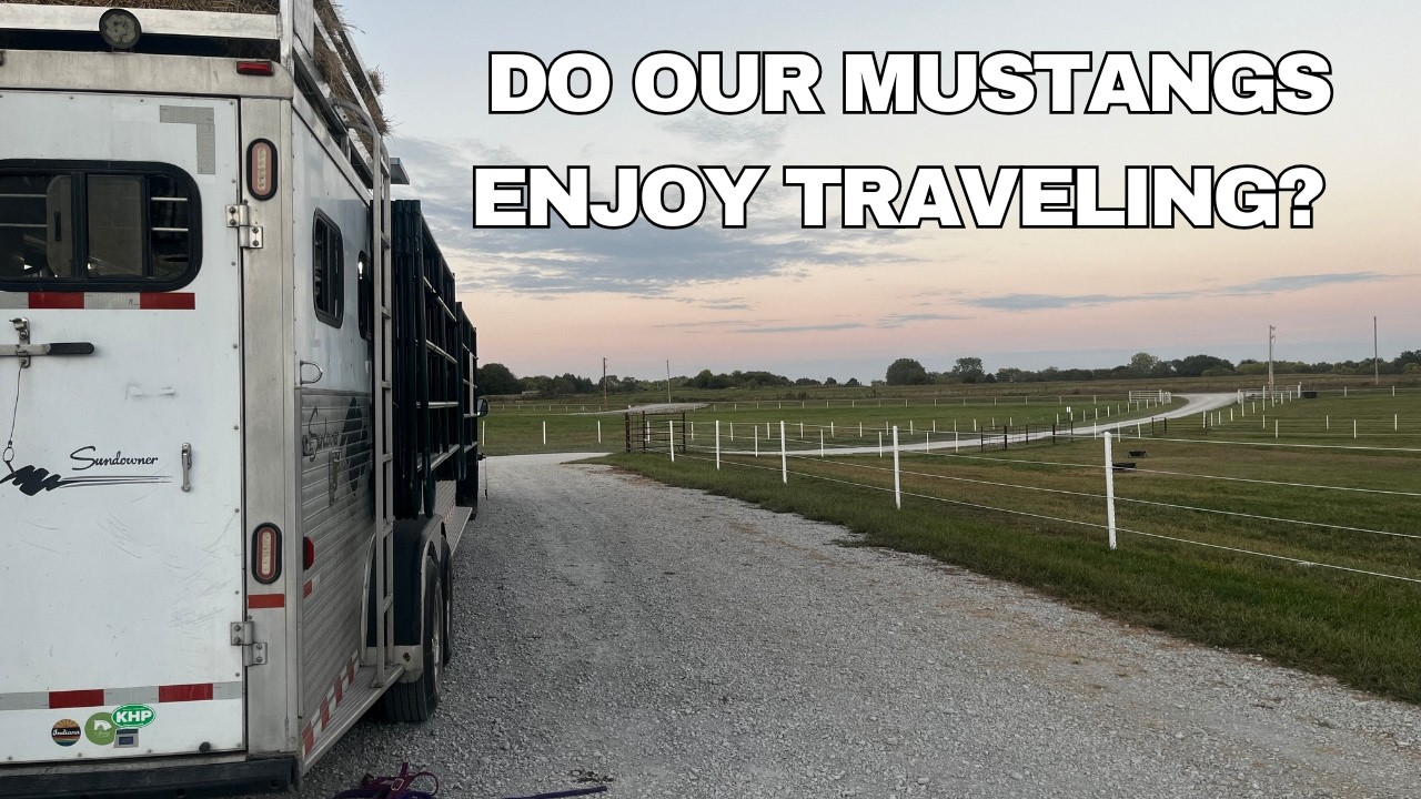 We Are Traveling Across The USA with MUSTANGS! Day 18 On The ROAD