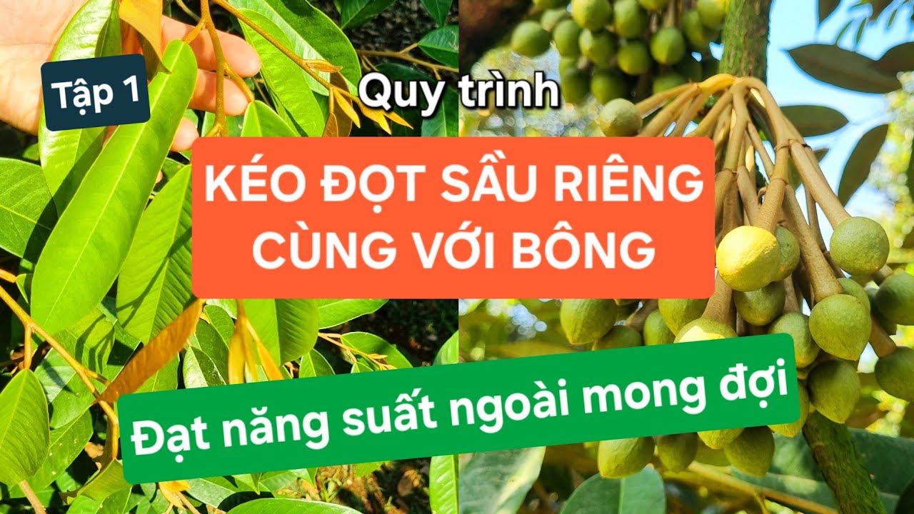 Tập 1 | Quy trình 