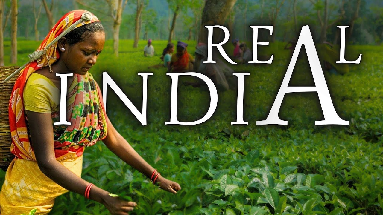 VIAGGIO INDIA E AYURVEDA 🇮🇳 Come usare la Medicina Naturale nella vita quotidiana