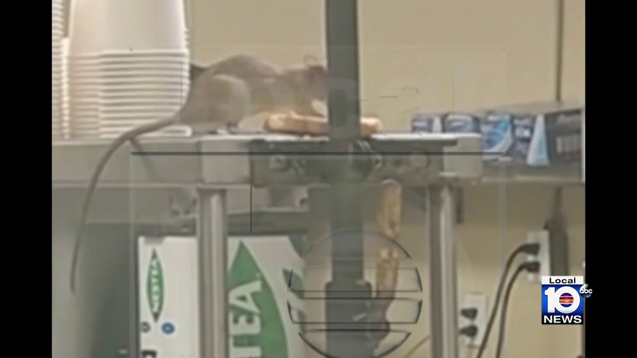 Pacifica Senior Living residents in Sunrise struggle with rats