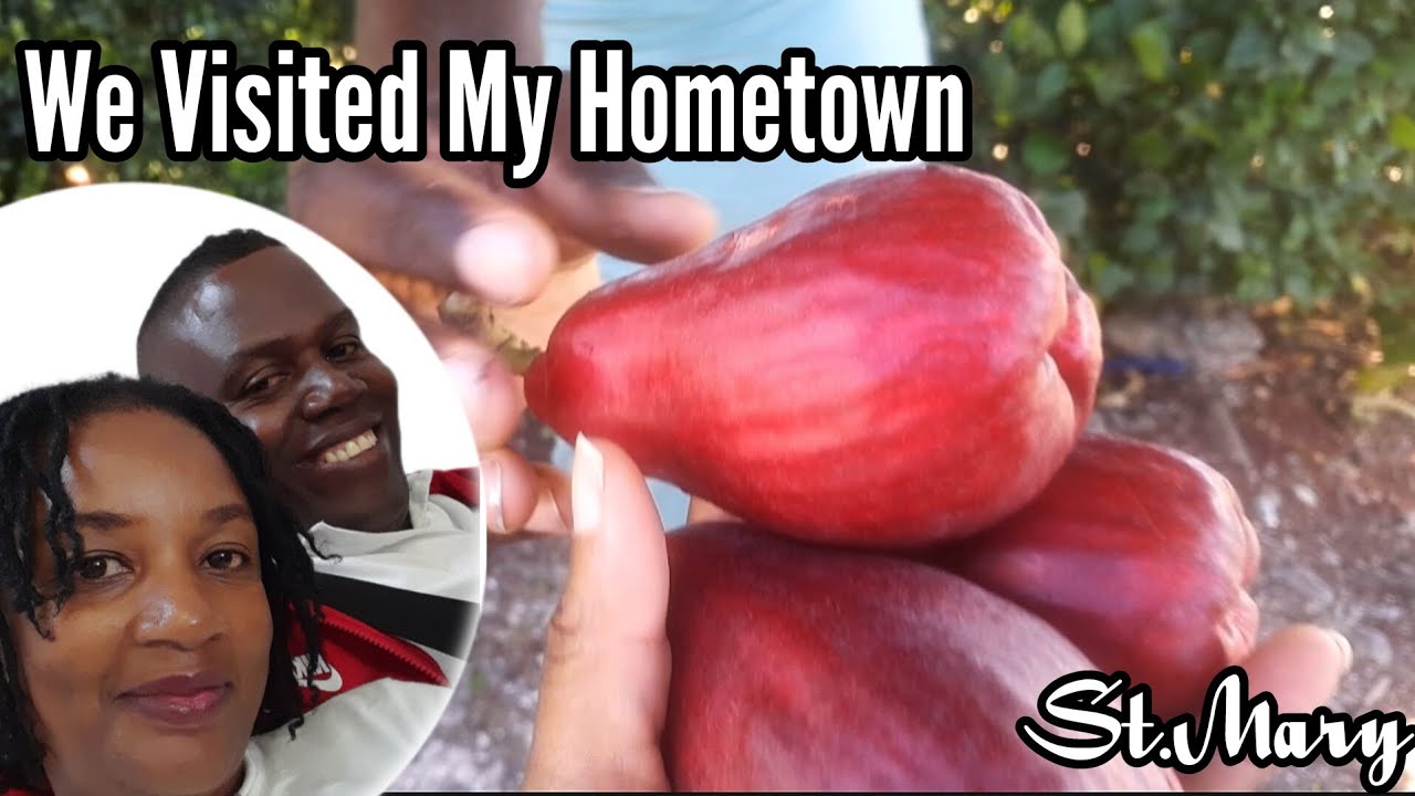 We Visited My Hometown 🏡 St. Mary, Otaheite Apple  Pass Schools + More