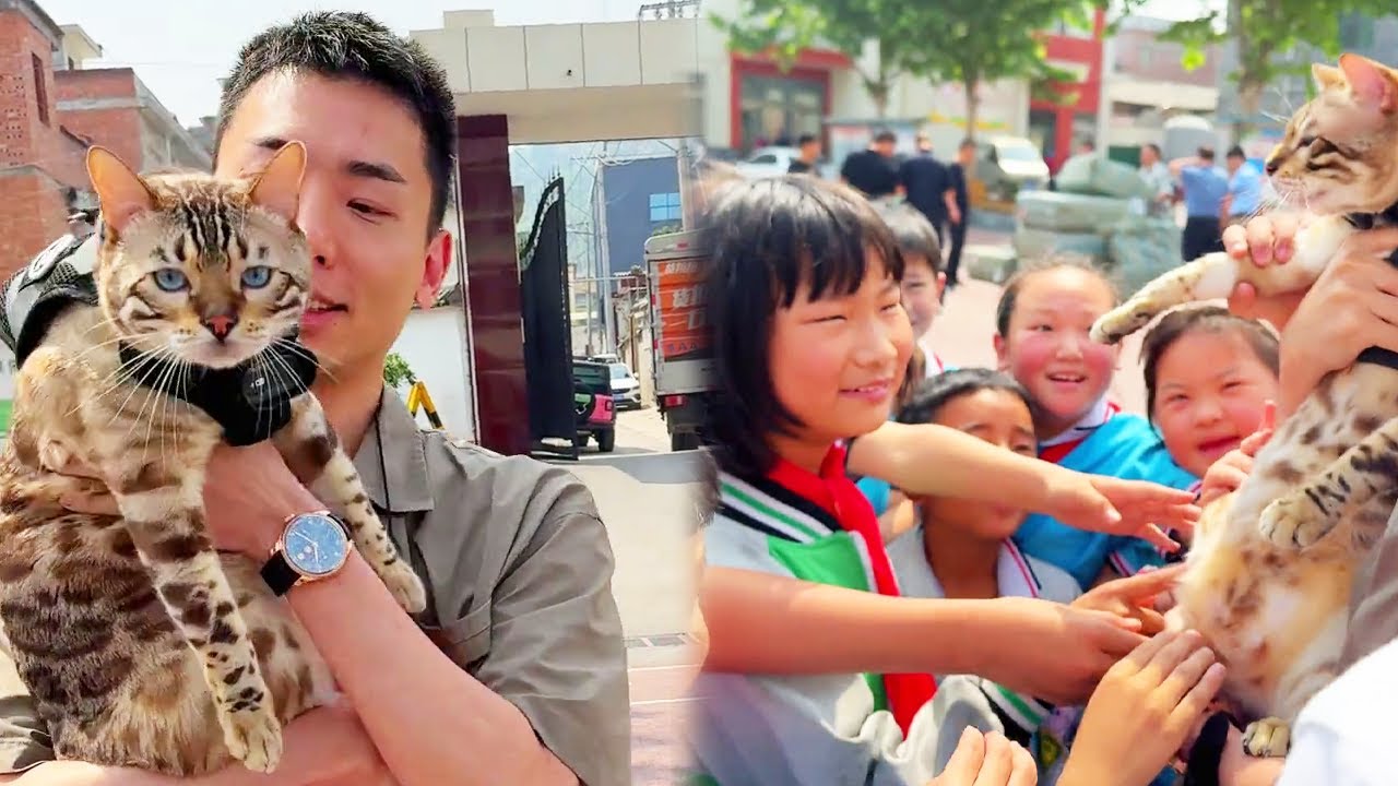 帶八條過一個特別的六一兒童節！八條變身小保鏢，親自護送書包和文具袋交到小朋友們手裡 【小鋒真喵啊】#貓小院 #貓咪小院