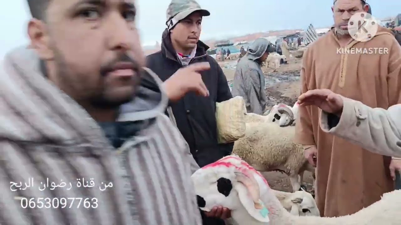 من قلب سوق الاتنين قلعة السراغنة بي تاريخ2026/02/09