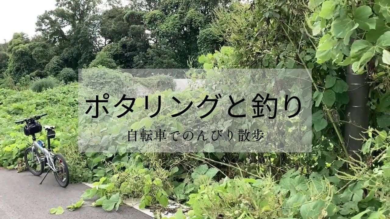 ポタリングと釣り ミニベロで東松山市物見山へ