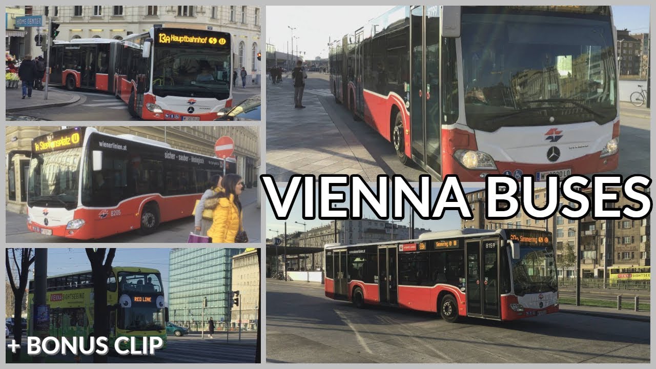 Busse in Wien | Buses in Vienna | Wiener Linien