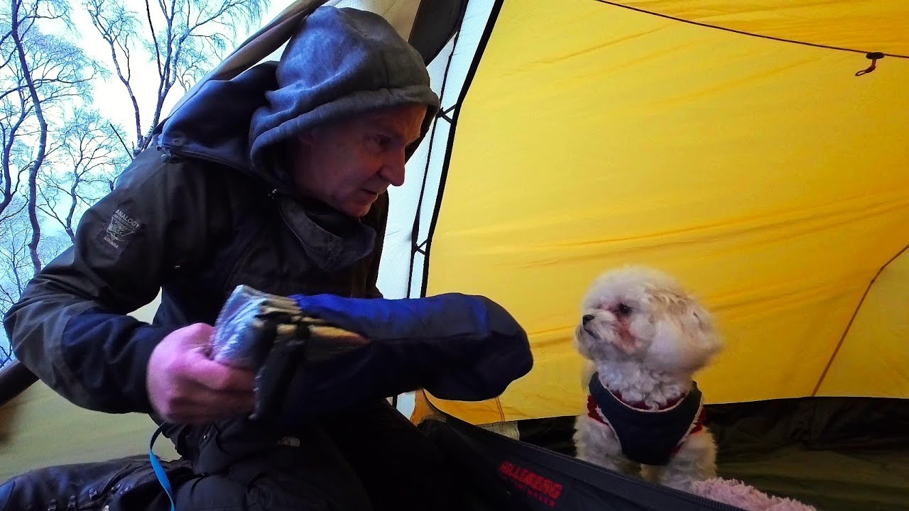 How NOT to CAMP with a very small DOG