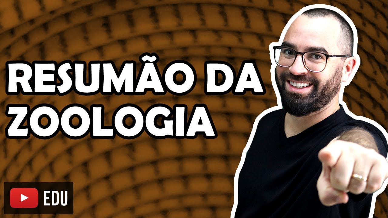 Resum&atilde;o Zoologia - Ap&ecirc;ndice 01 - M&oacute;dulo VI: Embriologia e Zoologia | Prof. Gui