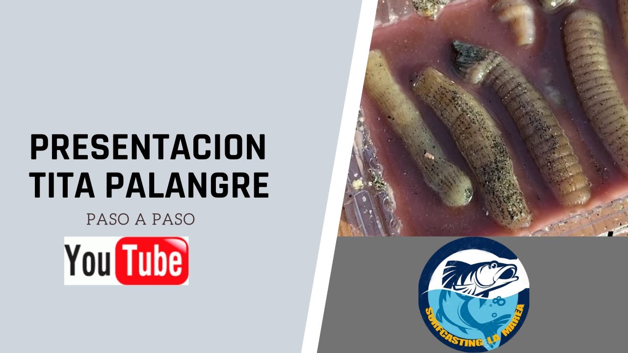 SURFCASTING CEBOS TITA PALANGRE
