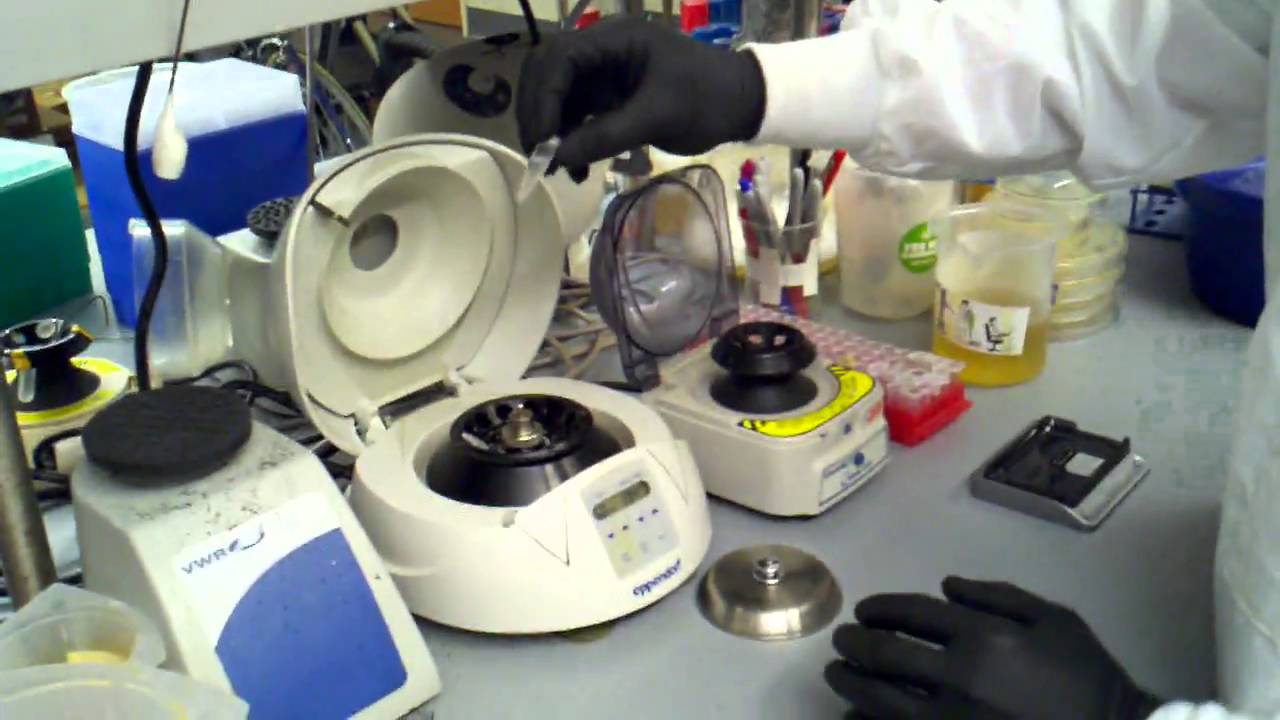 isopropanol precipitation   first spin down of precipitated DNA