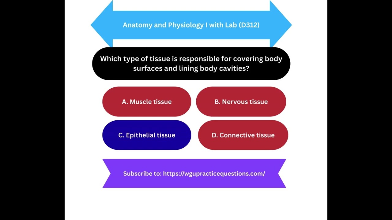 Anatomy and Physiology I with Lab D312 WGU