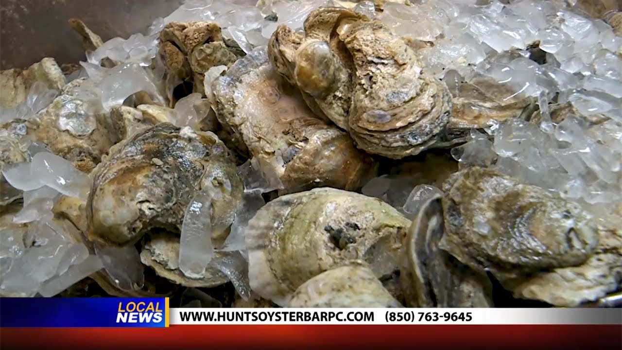 Hunt's Oyster Bar & Seafood - Dining Tip