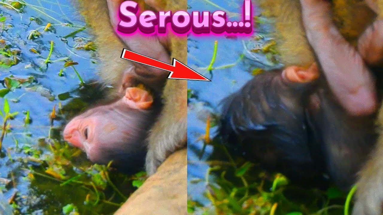 Hot Event! Very Big Risk Cos Fall Face Down In Water Almost Pass Way Cos No Breath In-Out...!