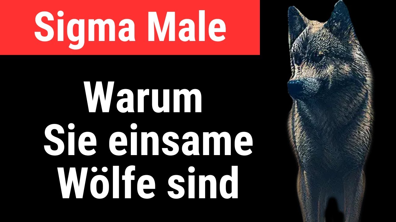 Warum Sigma-M&auml;nner als einsamer Wolf durchs Leben gehen