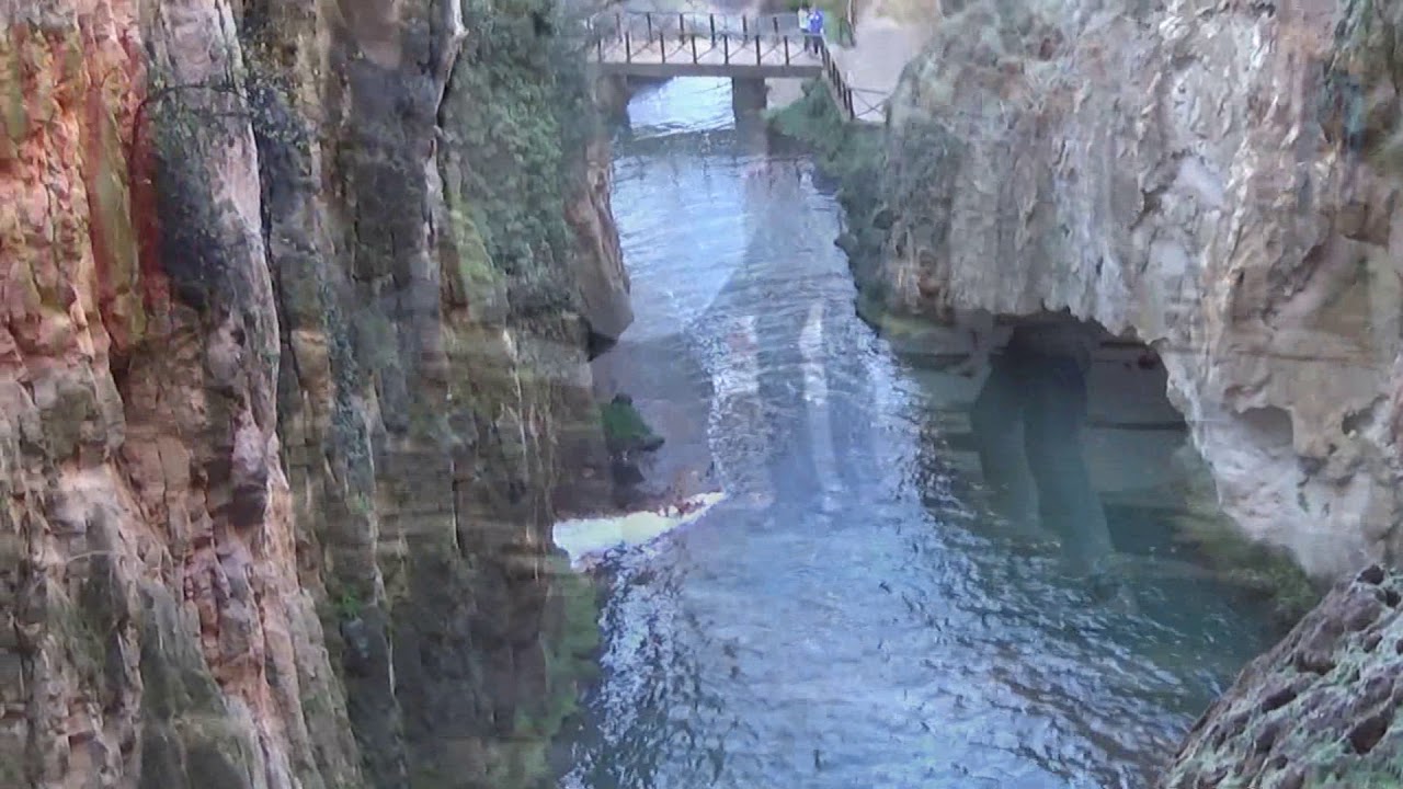 ÈXTASI sardana de Vicens Bou