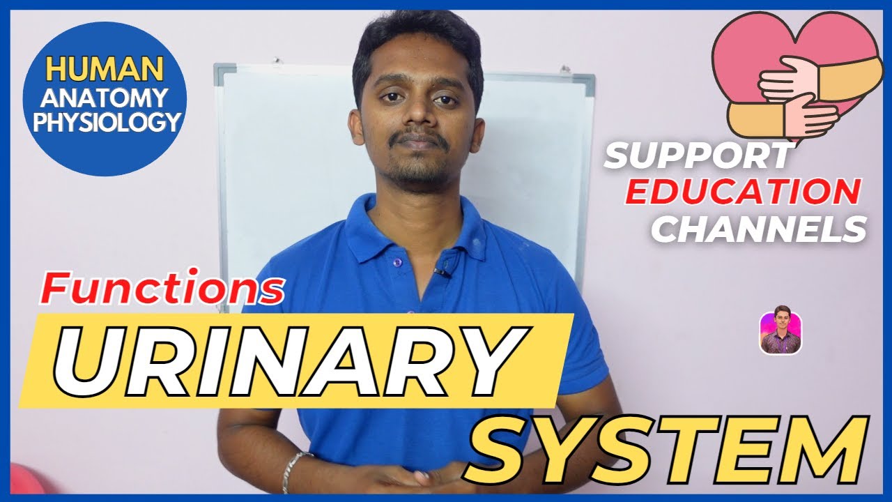 Urinary System | Introduction & Functions | Tamil