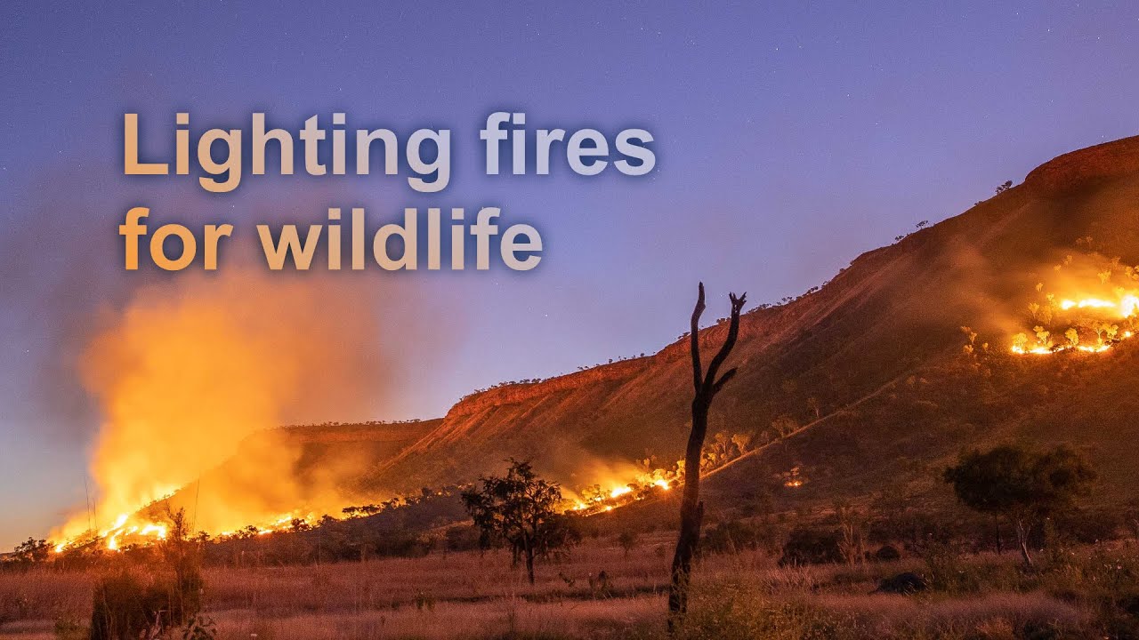 Lighting fires for wildlife in the Kimberley