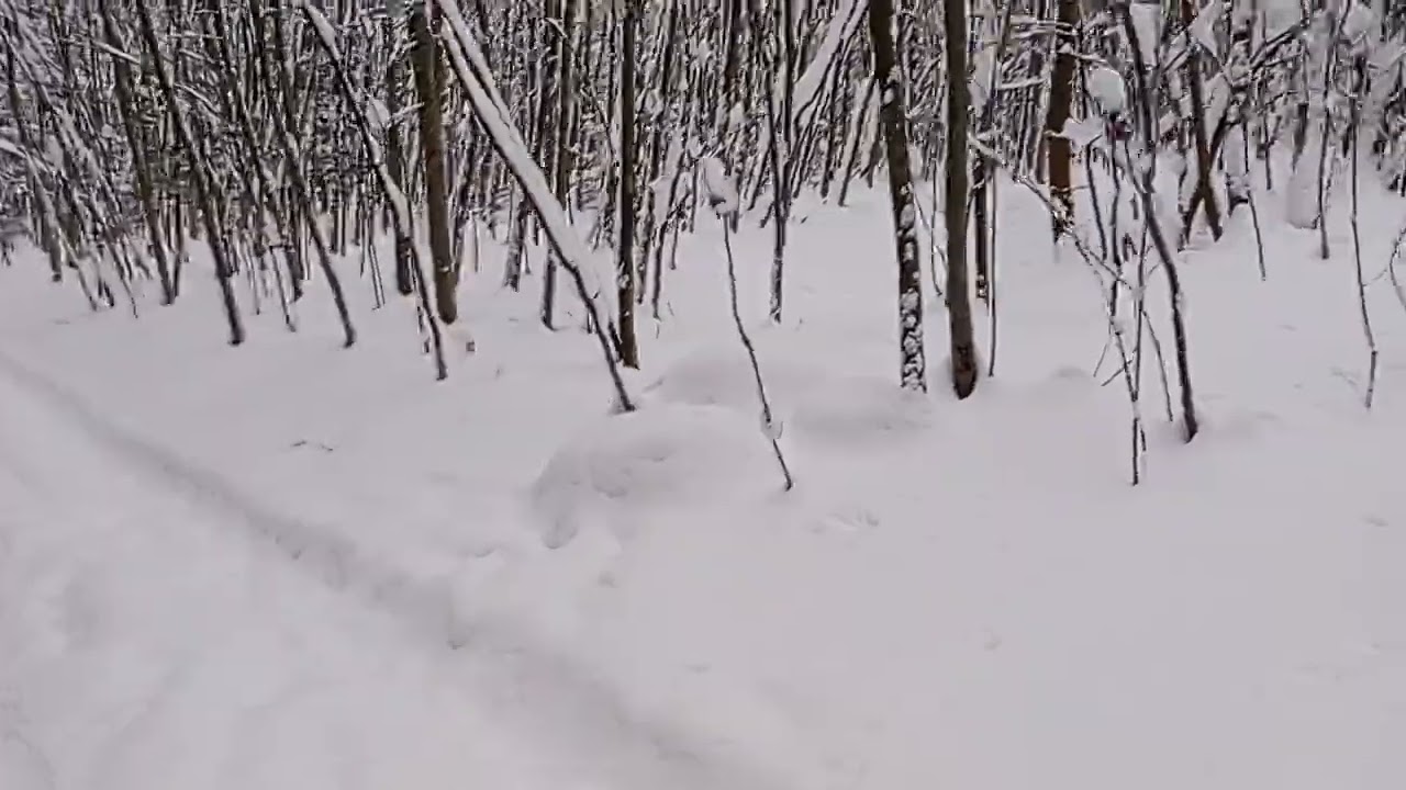 Зима добавляє снігу.