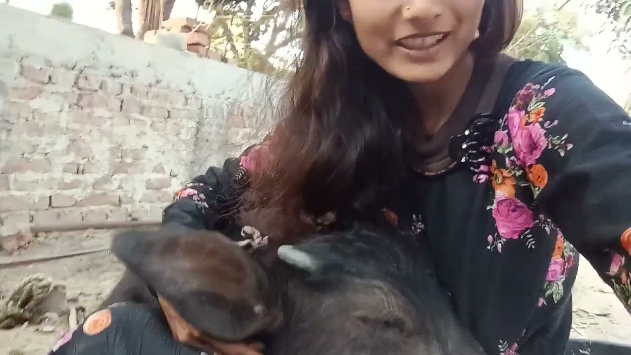 😊🥰🧿#virl video#cute se rujhun#youtube video#comedyvideos #ytviral #minivlog 