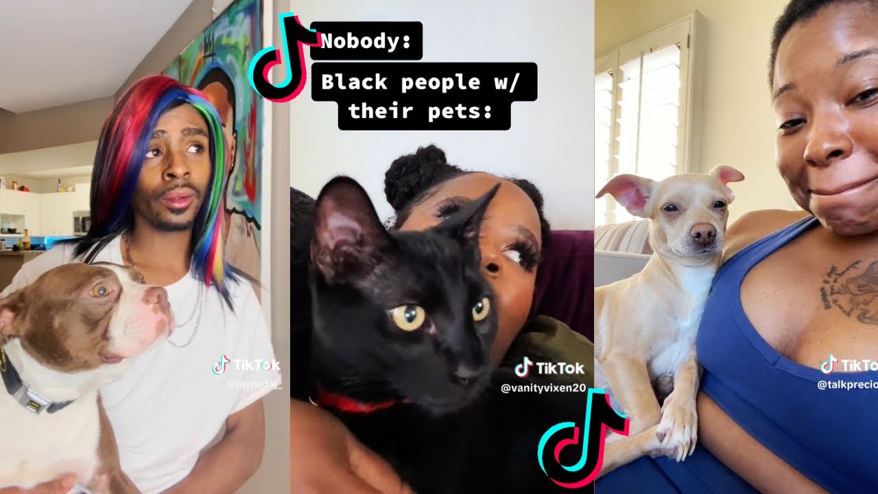 Black Folks and Their pets | Funny tiktok compilations #blackwoman