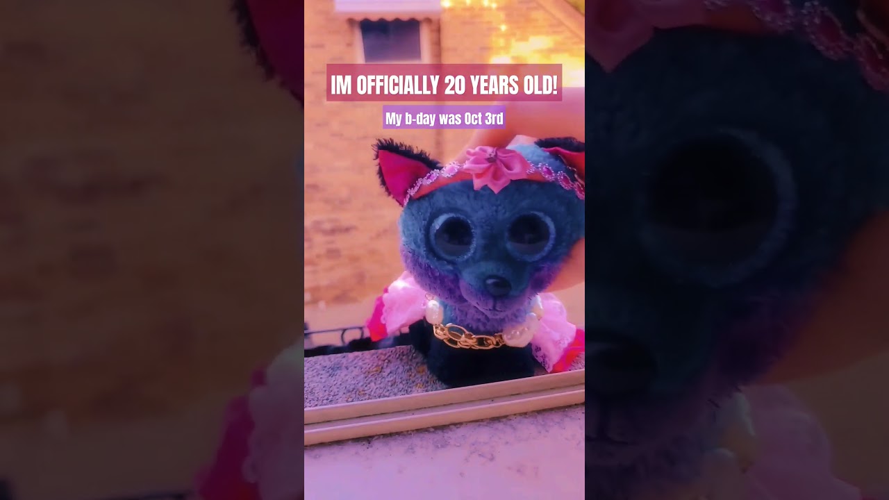 IM 20! // #Beanieboo #beanieboos #fox #animal #birthday #20 #aesthetic #dance #dancing #capcut #edit