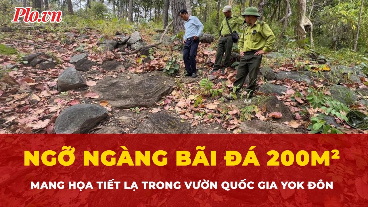 Ngỡ ngàng bãi đá 200m² mang họa tiết lạ trong Vườn quốc gia Yok Đôn | Tin nhanh