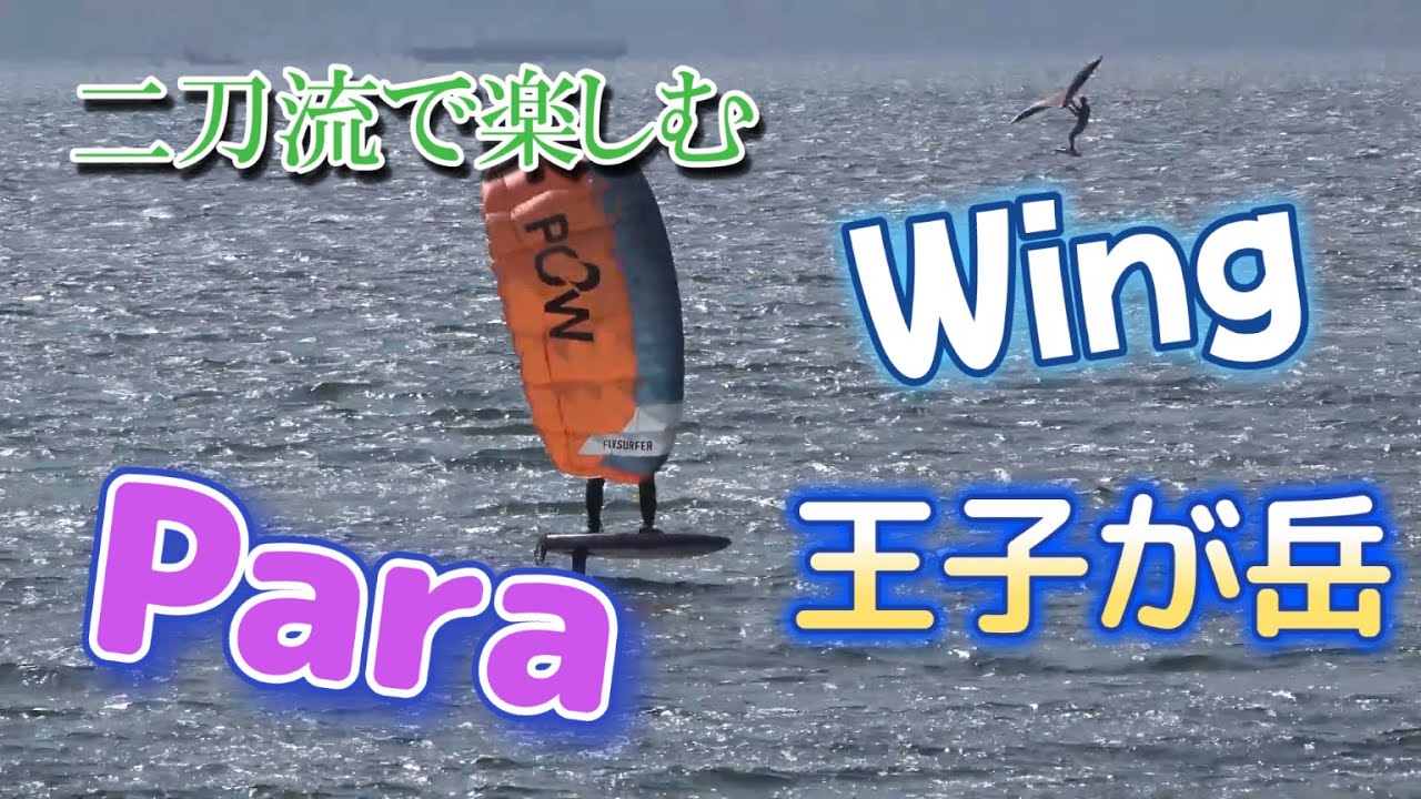 王子が岳Wing・Wind・Para 2026.2.1