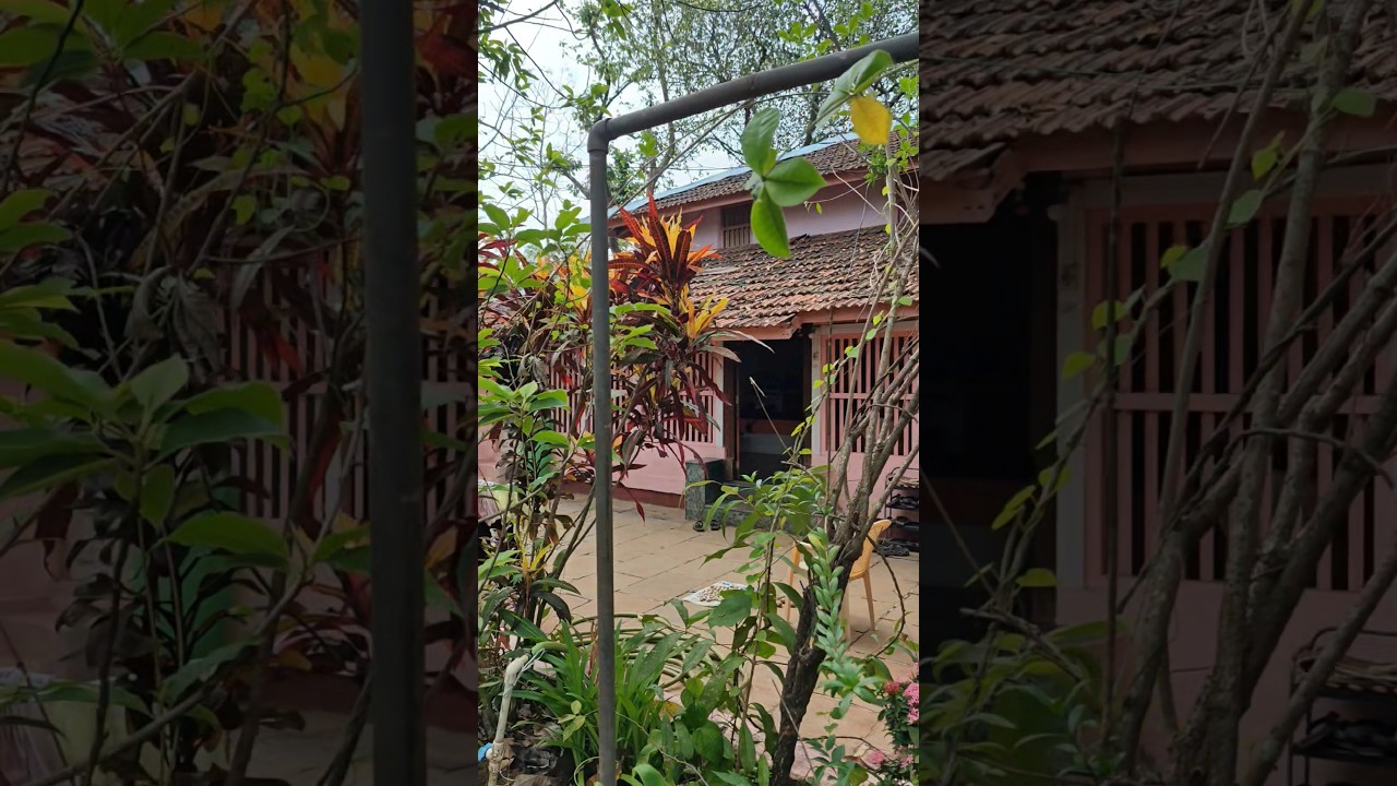 Kokan🌿 | Village Home| कोकण|
