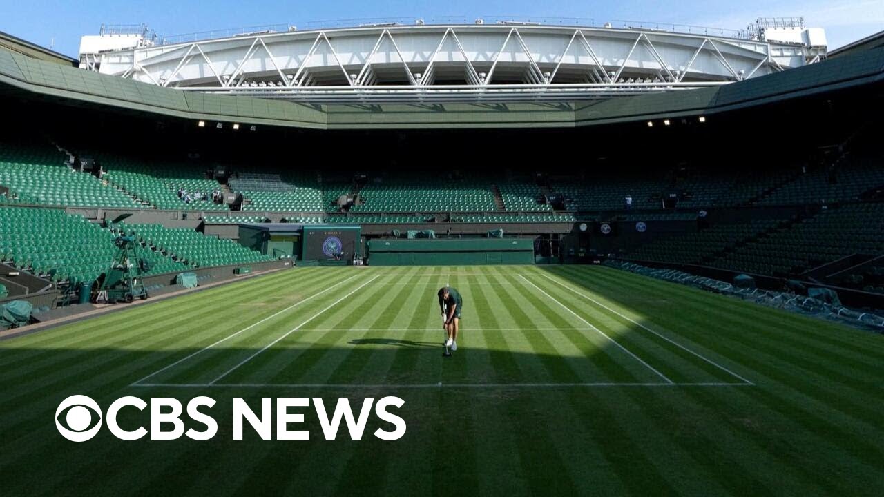 Maintaining the timeless glory of Wimbledon's courts