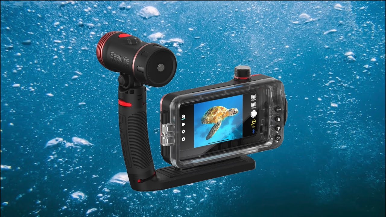 Как заниматься дайвингом с помощью телефона — обзор SeaLife SportDiver