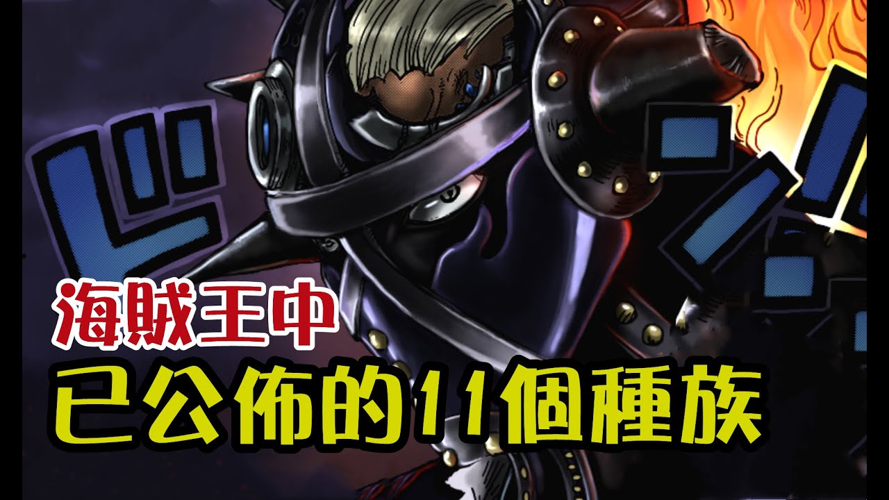 盤點《海賊王》中已公布的11個種族【阿金很忙】