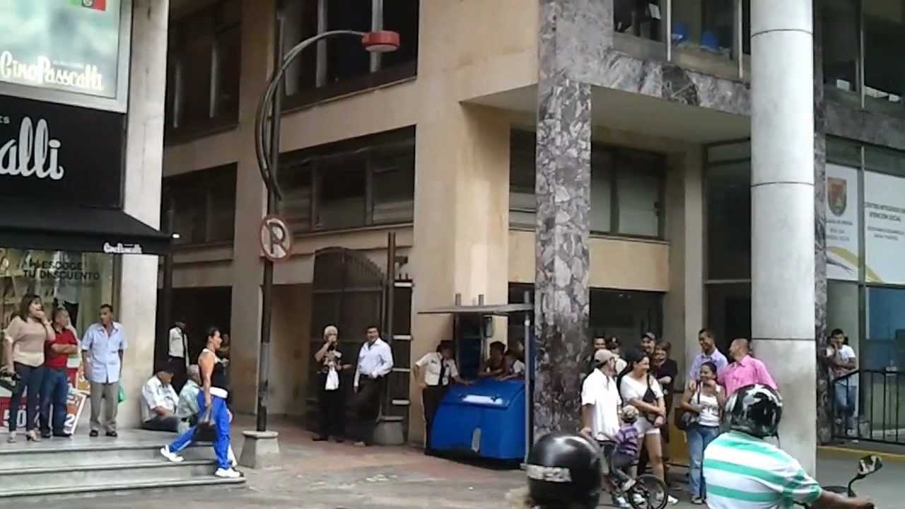 Pereira plaza de bolivar mimo