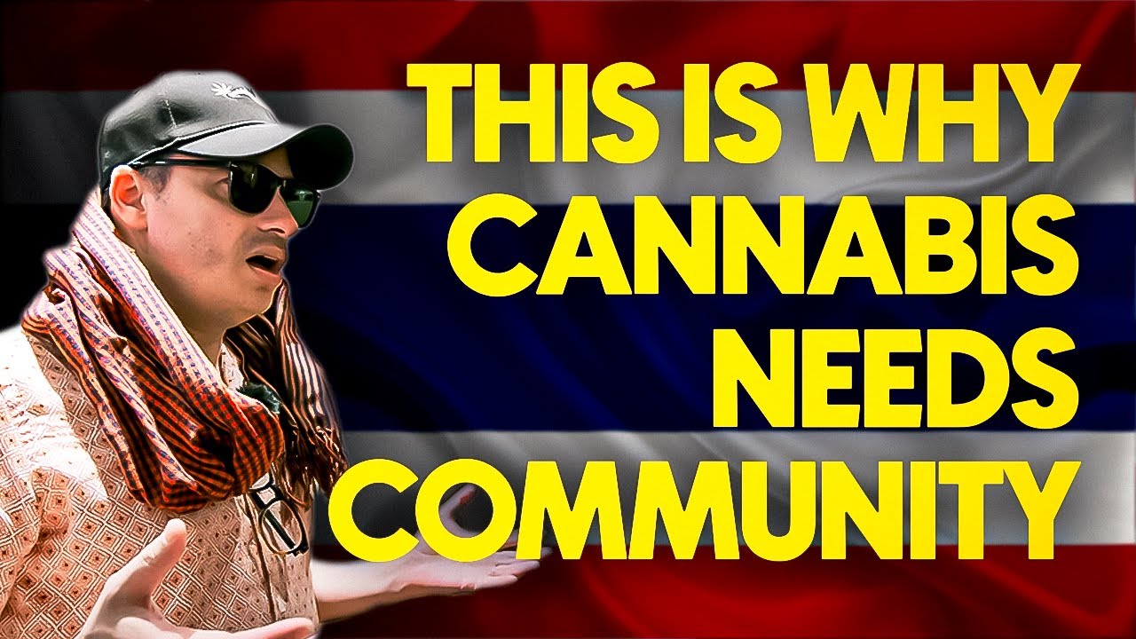 Mendel High Thailand Interview | Phuket Cannabis Cup 2023