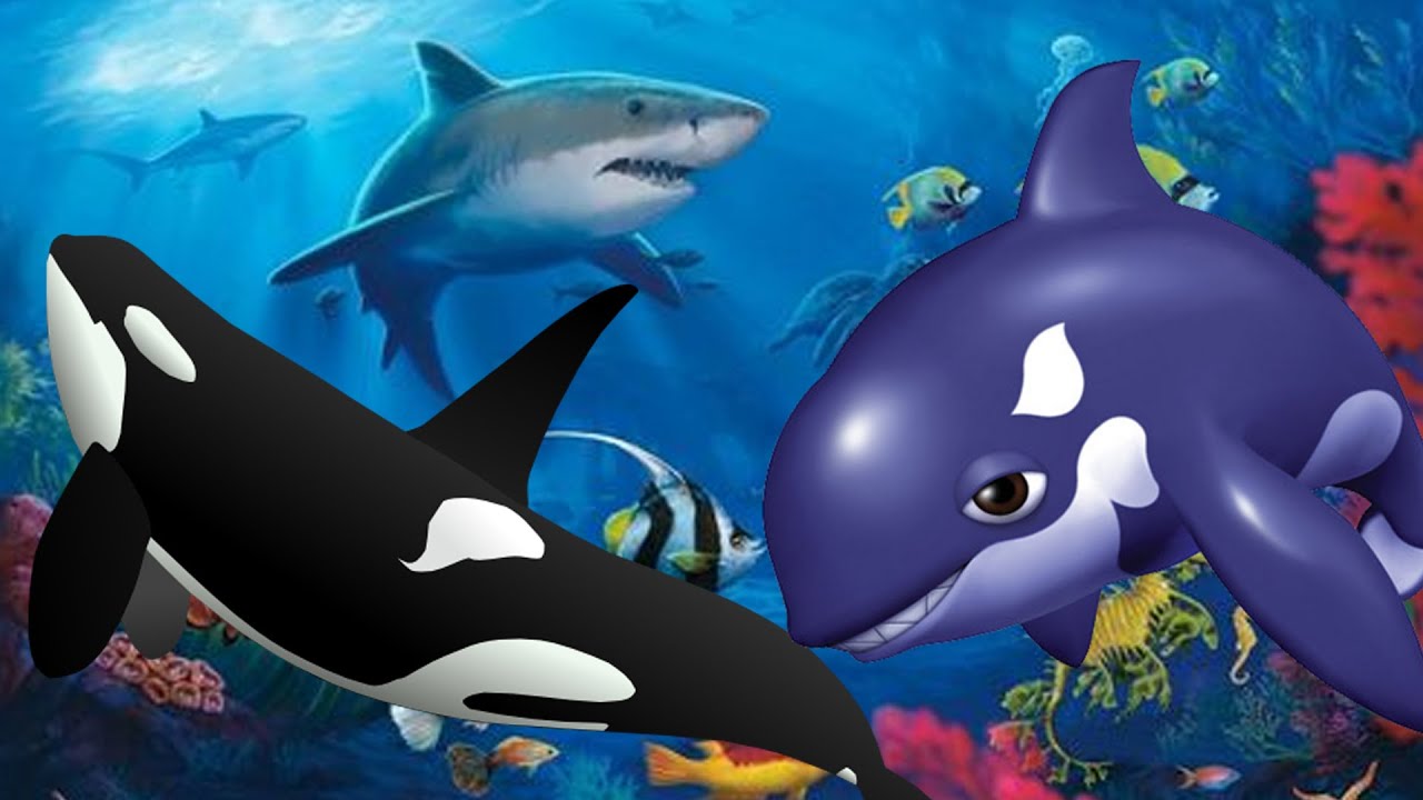 Whale Finger Family Nursery Rhymes For Children | Whale Cartoon Finger Family Rhymes For Kids