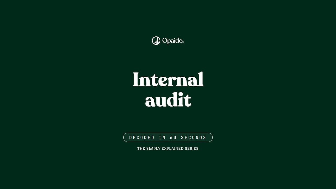 What Is Internal audit? South African HR & Payroll Explained