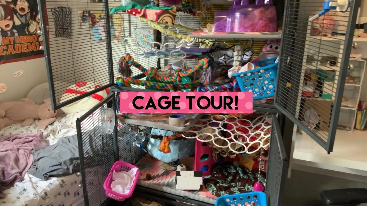 Rat Cage Tour | Cinnamon Rats
