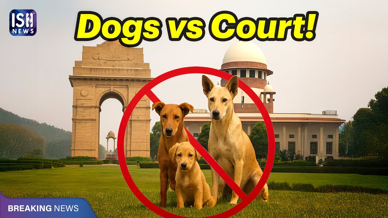 Supreme Court Orders Removal of Stray Dogs in Delhi | ISH News
