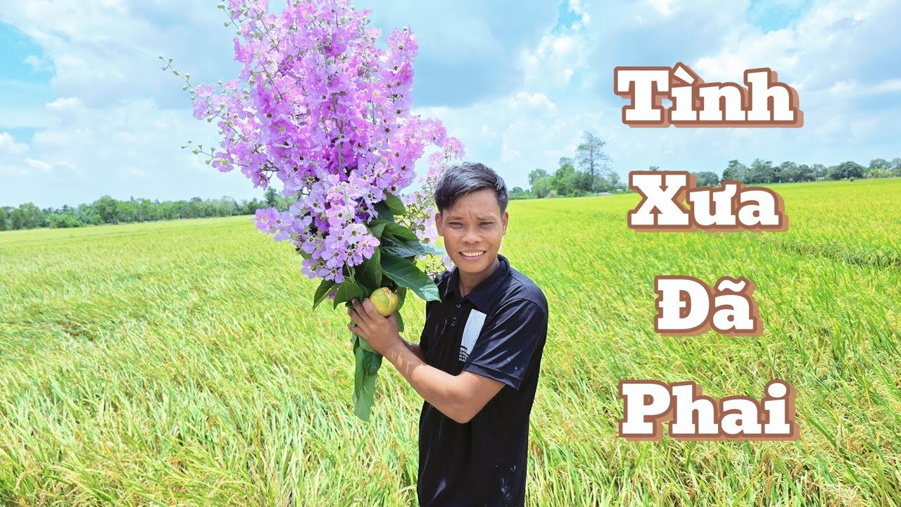 xuôi về Đồng Tháp tìm và thưởng thức chút Bình Yên |Cần Tv 16#
