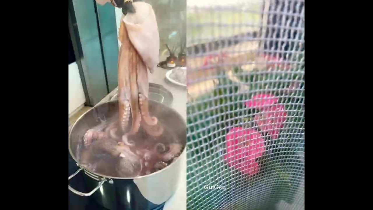 Bu nası yemek gıı 🤷&zwj;♀️🥰 @BYVELCHEVA #viralvideo #reklamdeğildir #funny